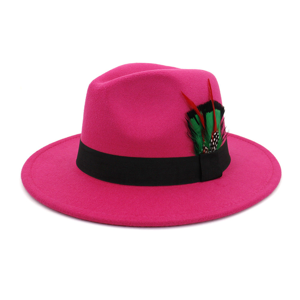 Men's And Women's New Woolen Broad-brimmed Hat Classic Top Fashion Feather Hat